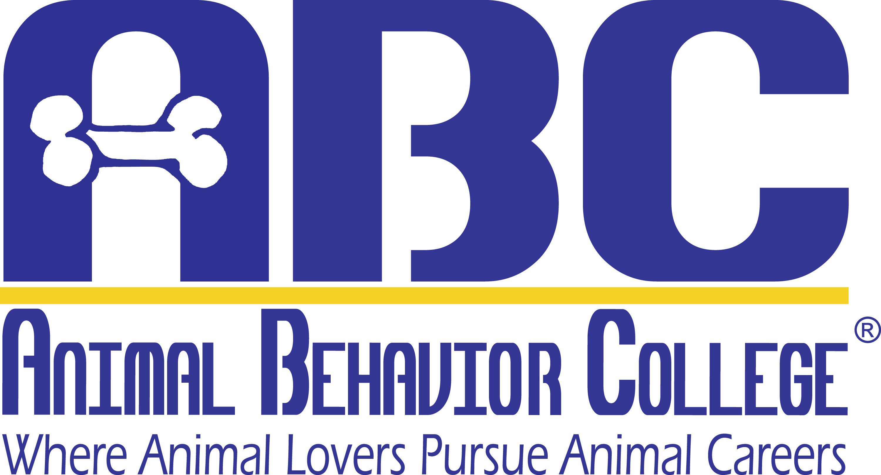 Animal Behavior College To Offer New Doggie Daycare Short Term Program 